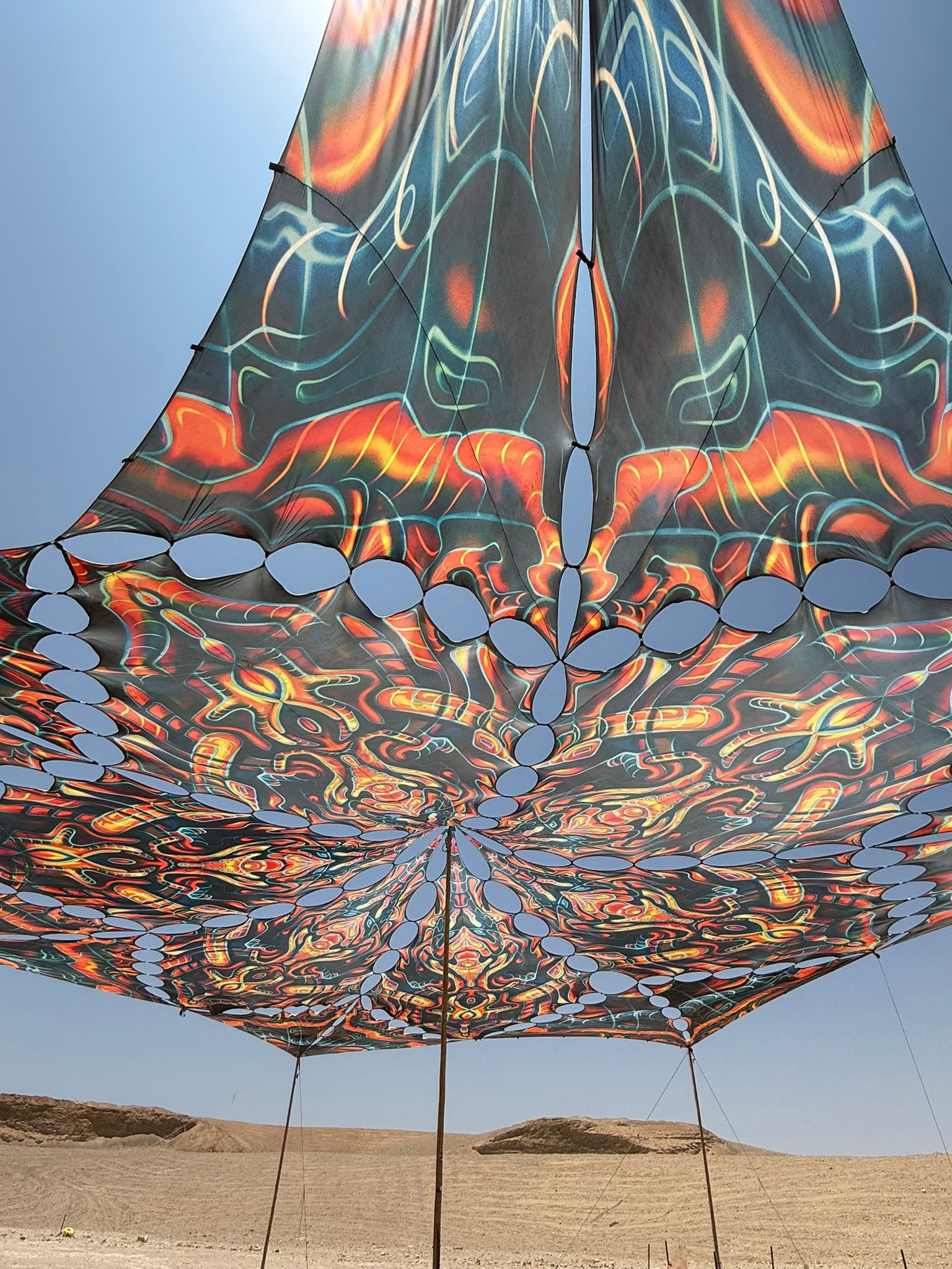 ציליות פסיכדליות 4